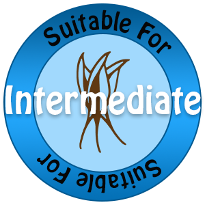 Suitable for Intermediate Icon