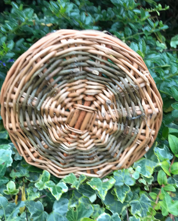 Round Berry Basket
